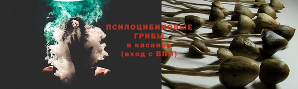 твердый Абдулино
