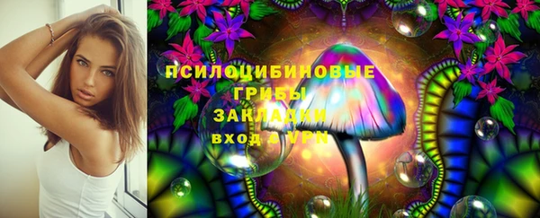амф Абинск